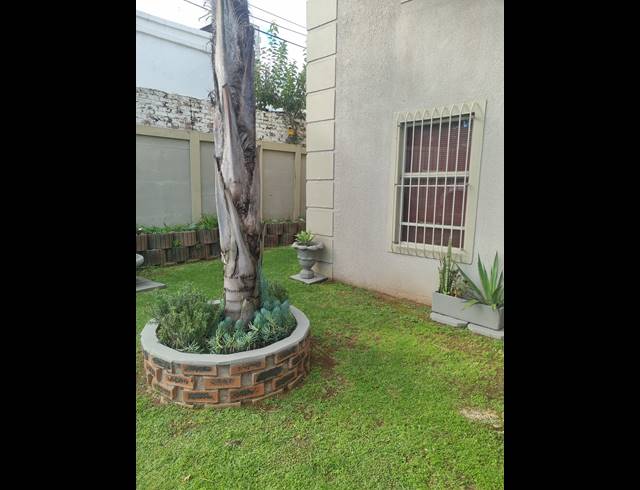 2 BEDROOM APARTMENT TO LET IN DEL JUDOR